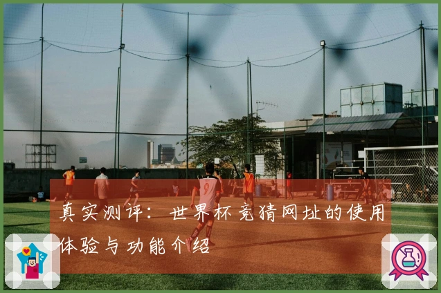 真实测评：世界杯竞猜网址的使用体验与功能介绍