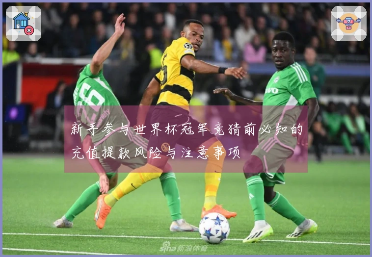 新手参与世界杯冠军竞猜前必知的充值提款风险与注意事项
