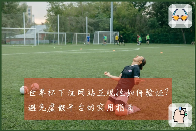 世界杯下注网站正规性如何验证？避免虚假平台的实用指南