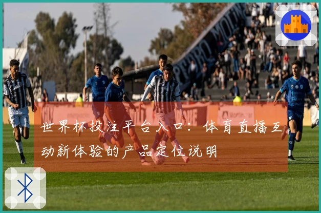 世界杯投注平台入口：体育直播互动新体验的产品定位说明