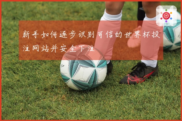 新手如何逐步识别可信的世界杯投注网站并安全下注