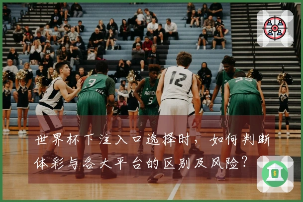 世界杯下注入口选择时，如何判断体彩与各大平台的区别及风险？