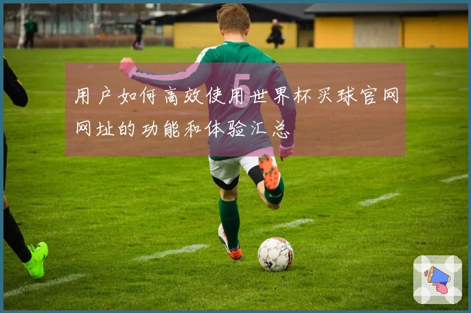用户如何高效使用世界杯买球官网网址的功能和体验汇总