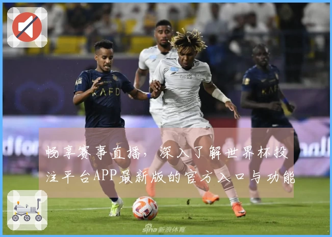 畅享赛事直播，深入了解世界杯投注平台APP最新版的官方入口与功能介绍