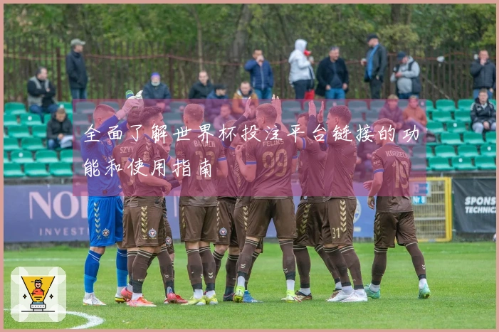 全面了解世界杯投注平台链接的功能和使用指南