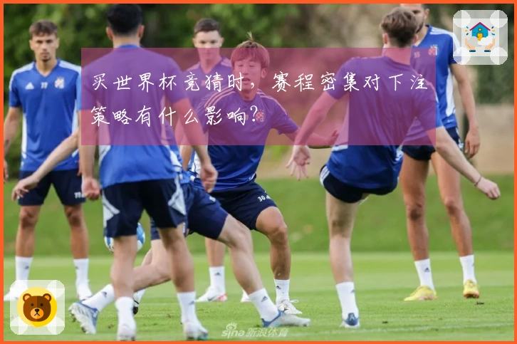 买世界杯竞猜时，赛程密集对下注策略有什么影响？