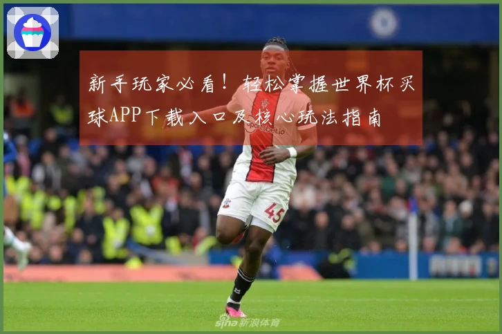 新手玩家必看！轻松掌握世界杯买球APP下载入口及核心玩法指南