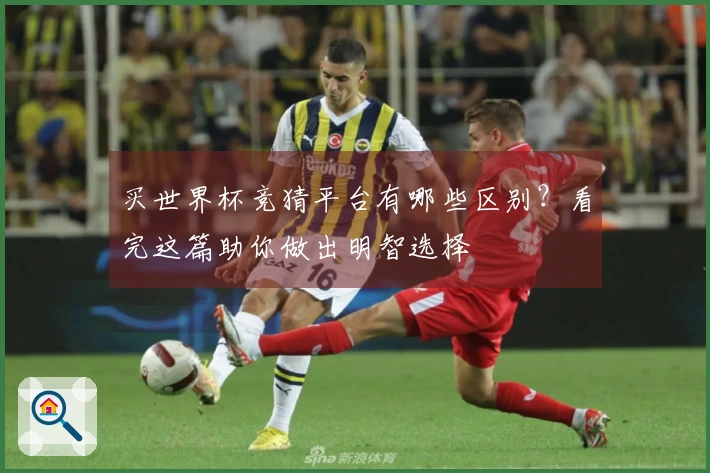 买世界杯竞猜平台有哪些区别？看完这篇助你做出明智选择