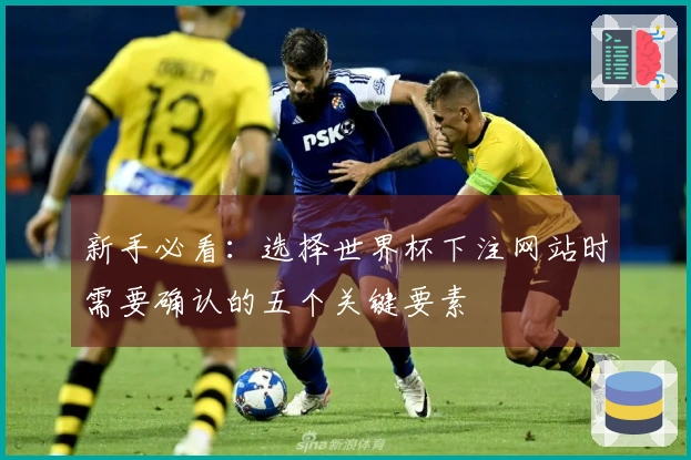 新手必看：选择世界杯下注网站时需要确认的五个关键要素