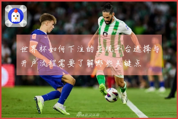 世界杯如何下注的正规平台选择与开户流程需要了解哪些关键点
