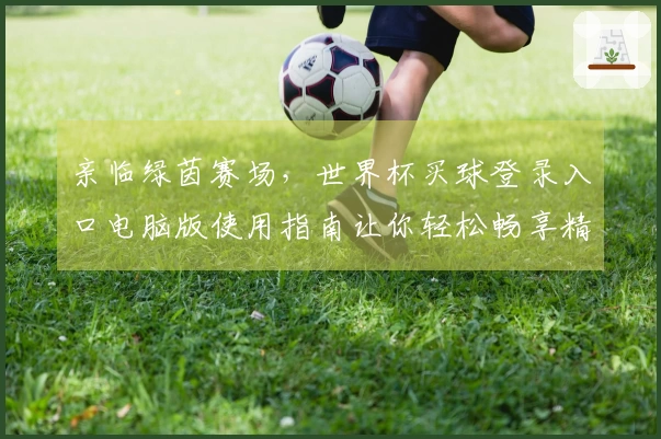 亲临绿茵赛场，世界杯买球登录入口电脑版使用指南让你轻松畅享精彩赛事