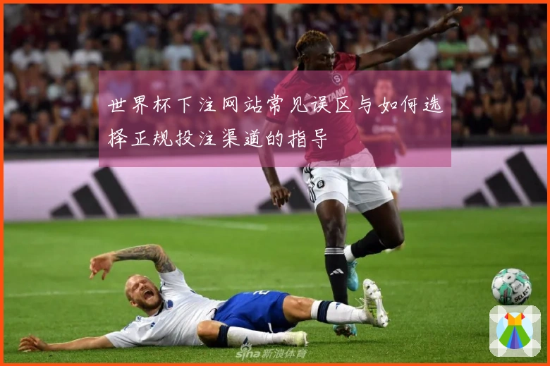 世界杯下注网站常见误区与如何选择正规投注渠道的指导